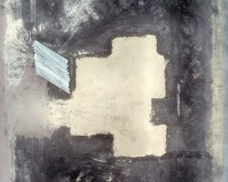 8 februari 2026 8 februari 2026